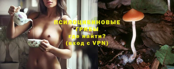 прущие крисы Дмитриев