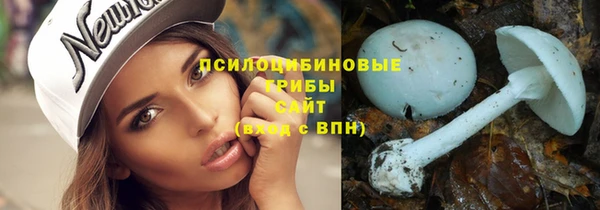 прущий лед Дмитров