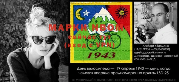 прущие крисы Дмитриев