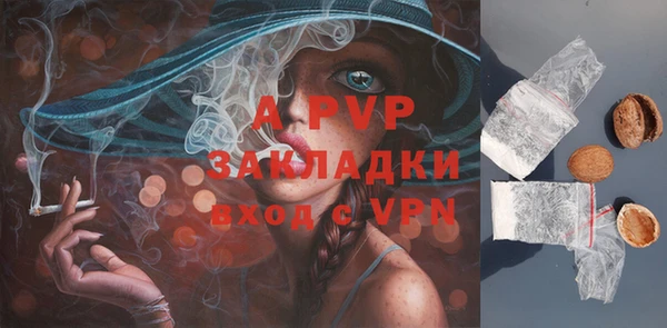 прущие крисы Дмитриев