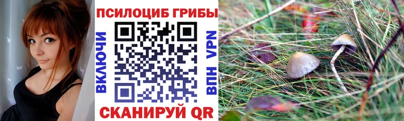 Псилоцибиновые грибы Psilocybe что такое наркотик Междуреченск