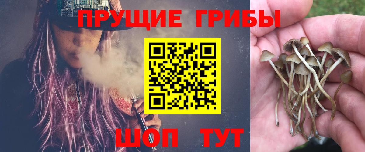 Галлюциногенные грибы ЛСД Междуреченск