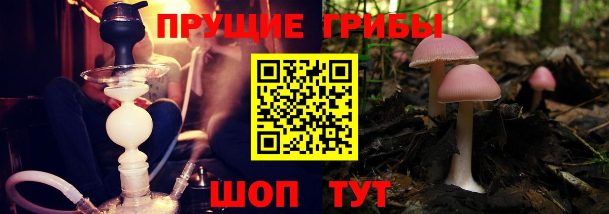 Псилоцибиновые грибы прущие грибы  Вход с VPN  Псилоцибиновые грибы MAGIC MUSHROOMS  Междуреченск 