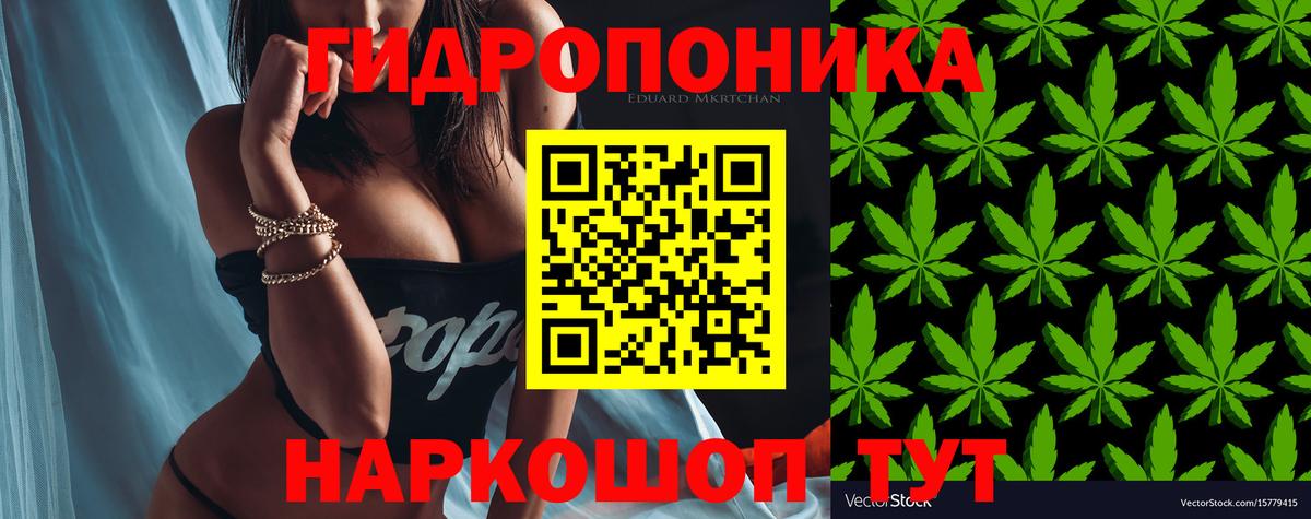 Каннабис Amnesia  Канабис White Widow  Междуреченск  Шишки марихуана конопля 